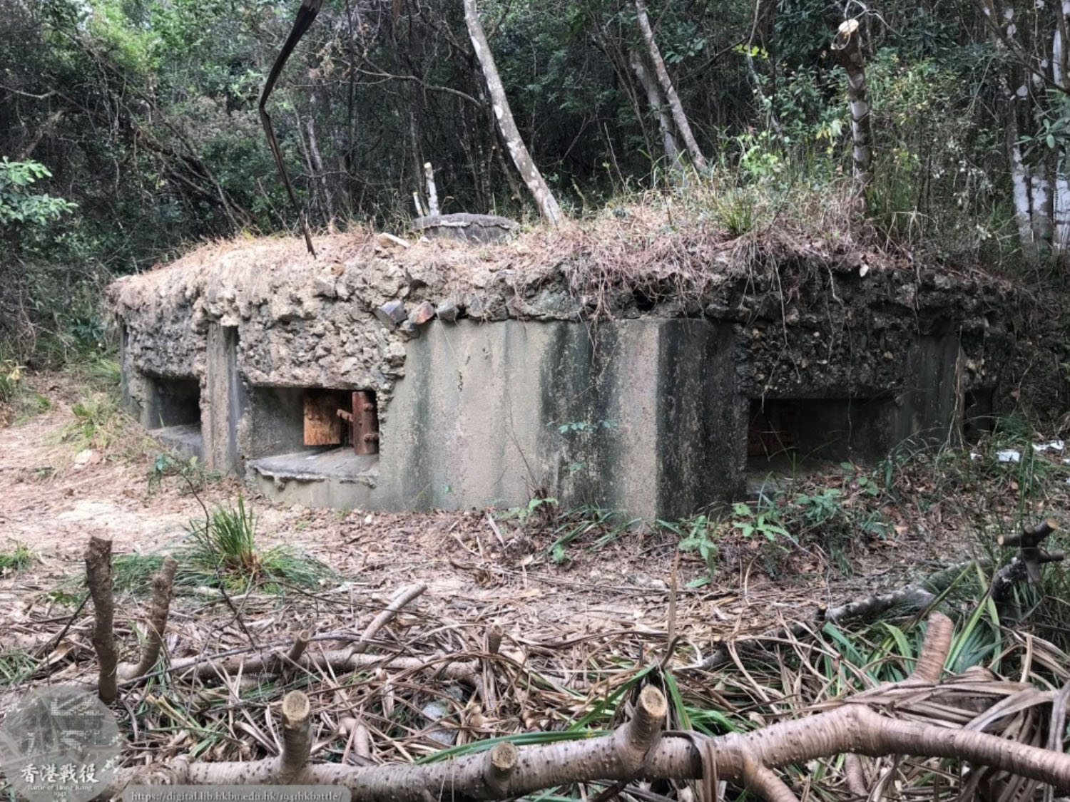 War ruins in Hong Kong: There are hundreds of   WWII-related military structures around the city. They are physical evidence of the city's suffering during the war.  The diverse human experience during this conflict in this part of the world has seldom been discussed.   Dr Kwong's team works with the authorities to install historical interpretation panels next to these structures so that visitors can understand the stories behind them.