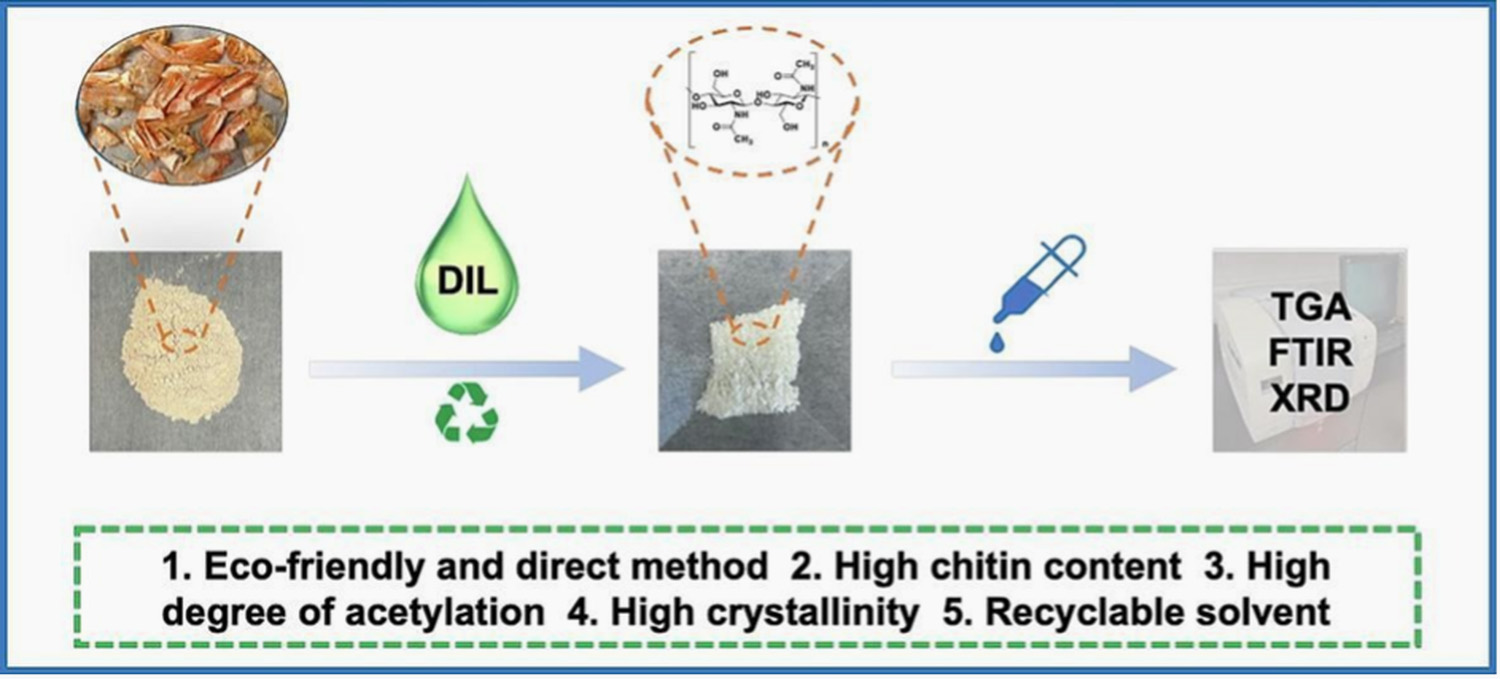 Using a direct and recyclable method, high-quality chitin can be isolated from crustacean shells.