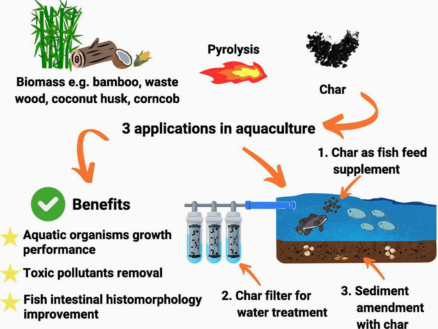 The potential application of char in aquaculture. 