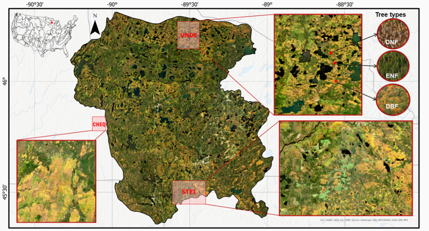 Wisconsin northern upland mixed forest ecoregion: three distinct validation sites and three target tree types for fraction estimation. 