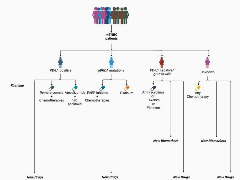 Consensus guidelines for TNBC treatment – “Biomarker-driven TNBC management flowchart”.
