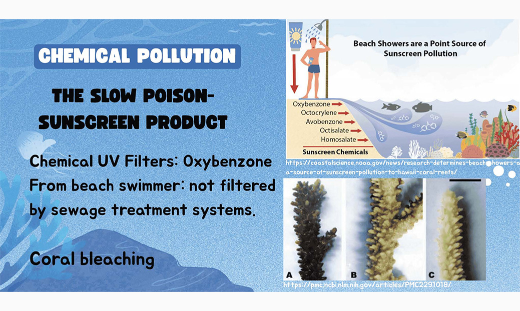 Chemical Pollution