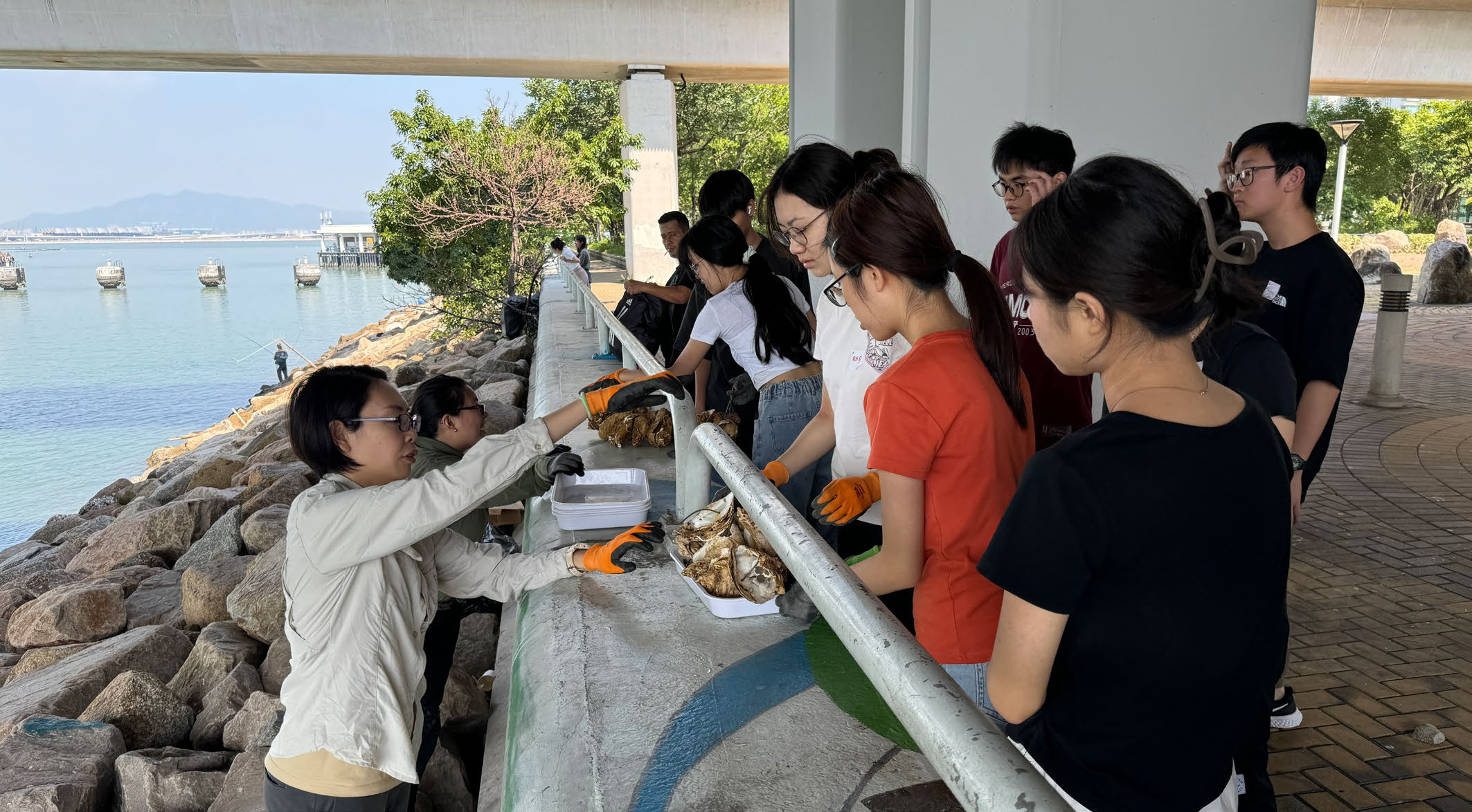 Empowering students to improve marine water quality