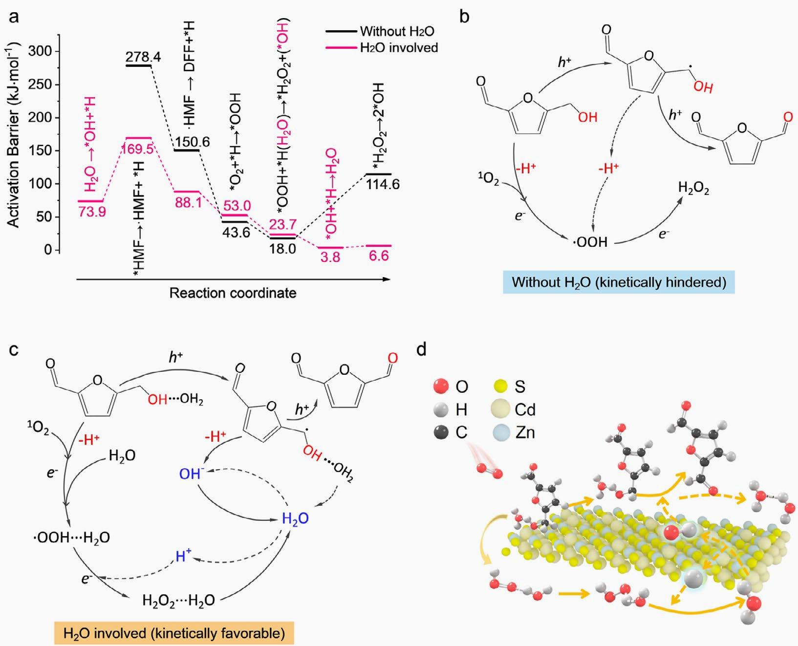 Harnessing trace water for enhanced photocatalytic oxidation of biomass‑derived alcohols to aldehydes image